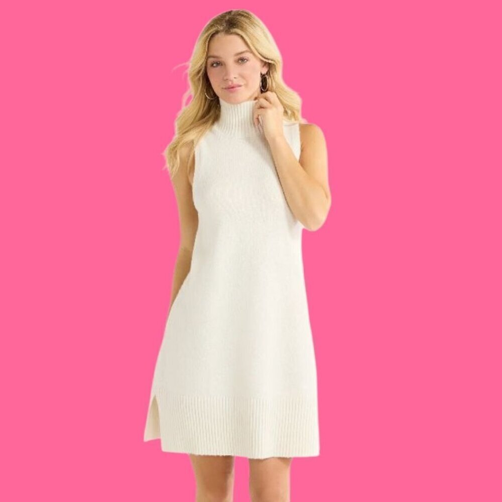Free Assembly Womens Sleeveless Turtleneck Sweater Dress Wht XSmall